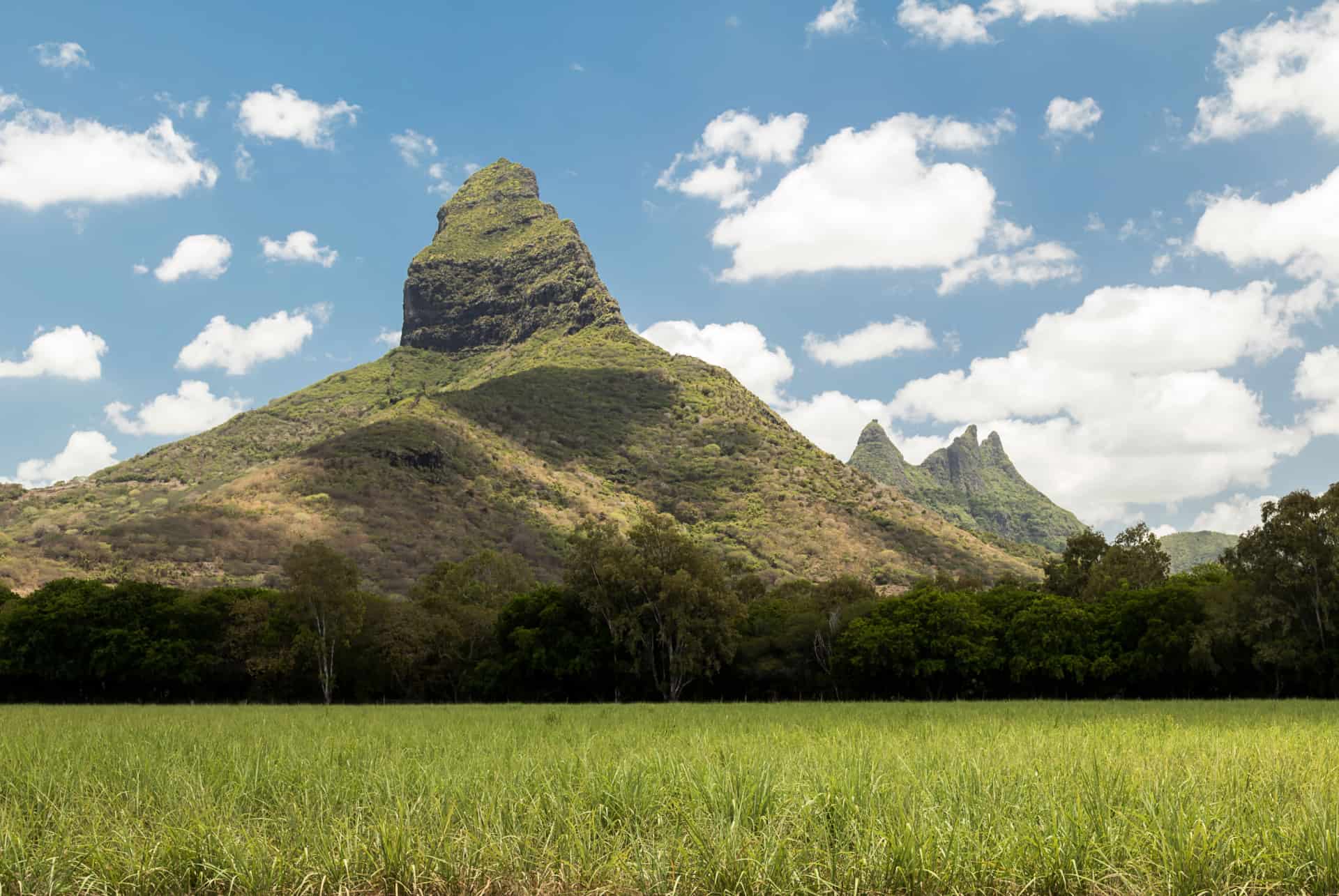 piton de la petite riviere noire que faire a flic en flac