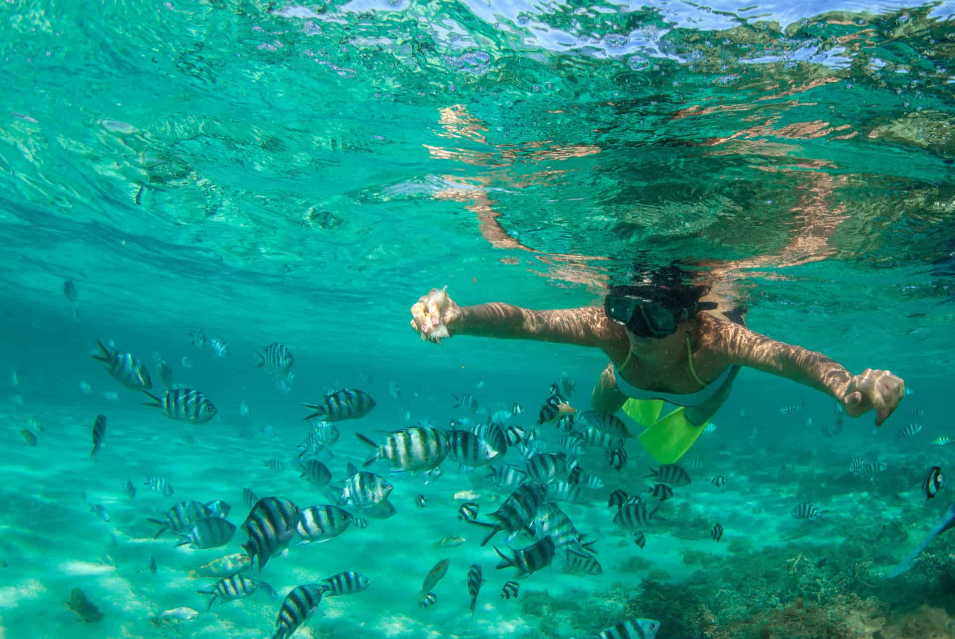 plongee sous marine a l ile maurice plongee sous marine a l ile maurice
