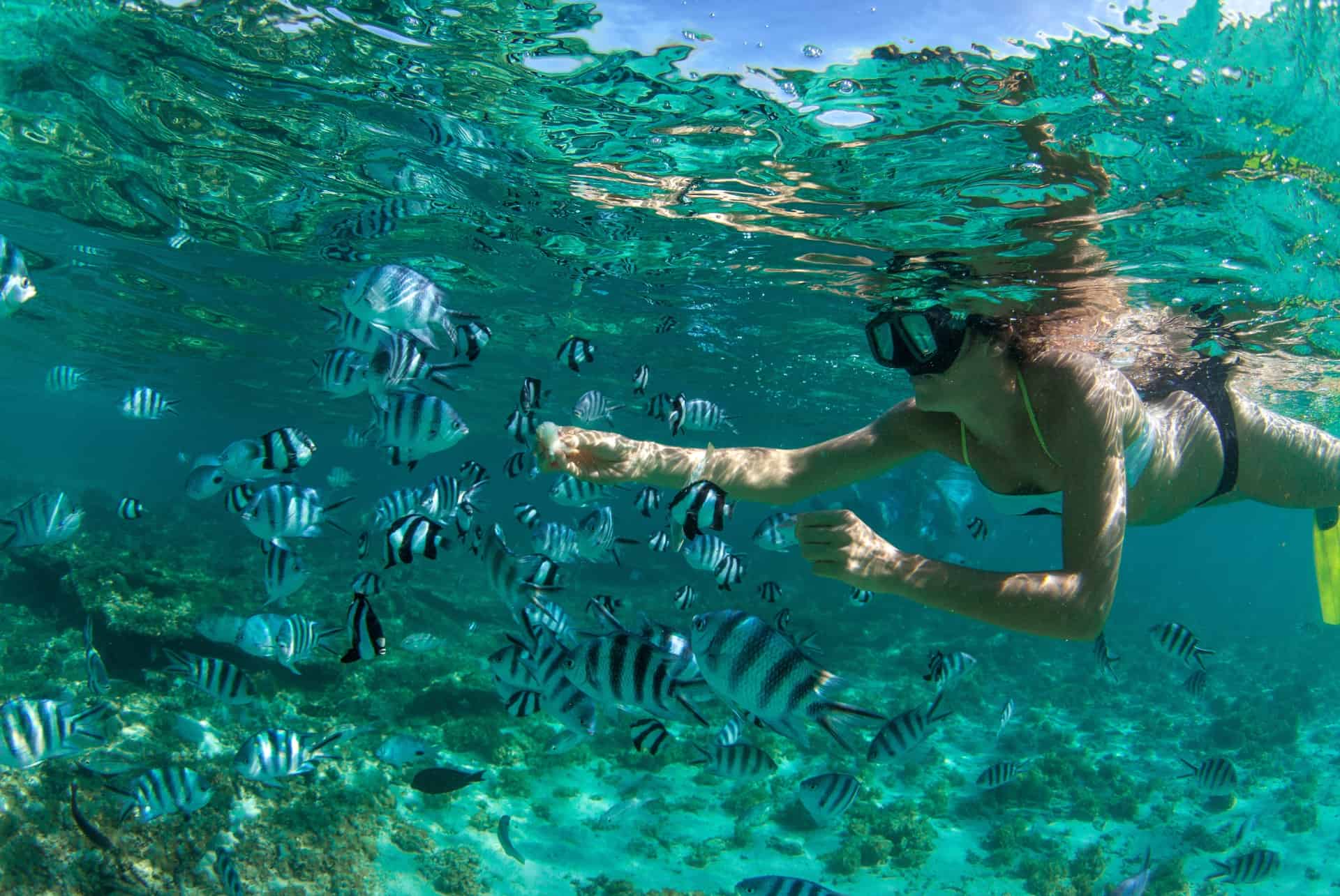 snorkeling ile maurice snorkeling ile maurice