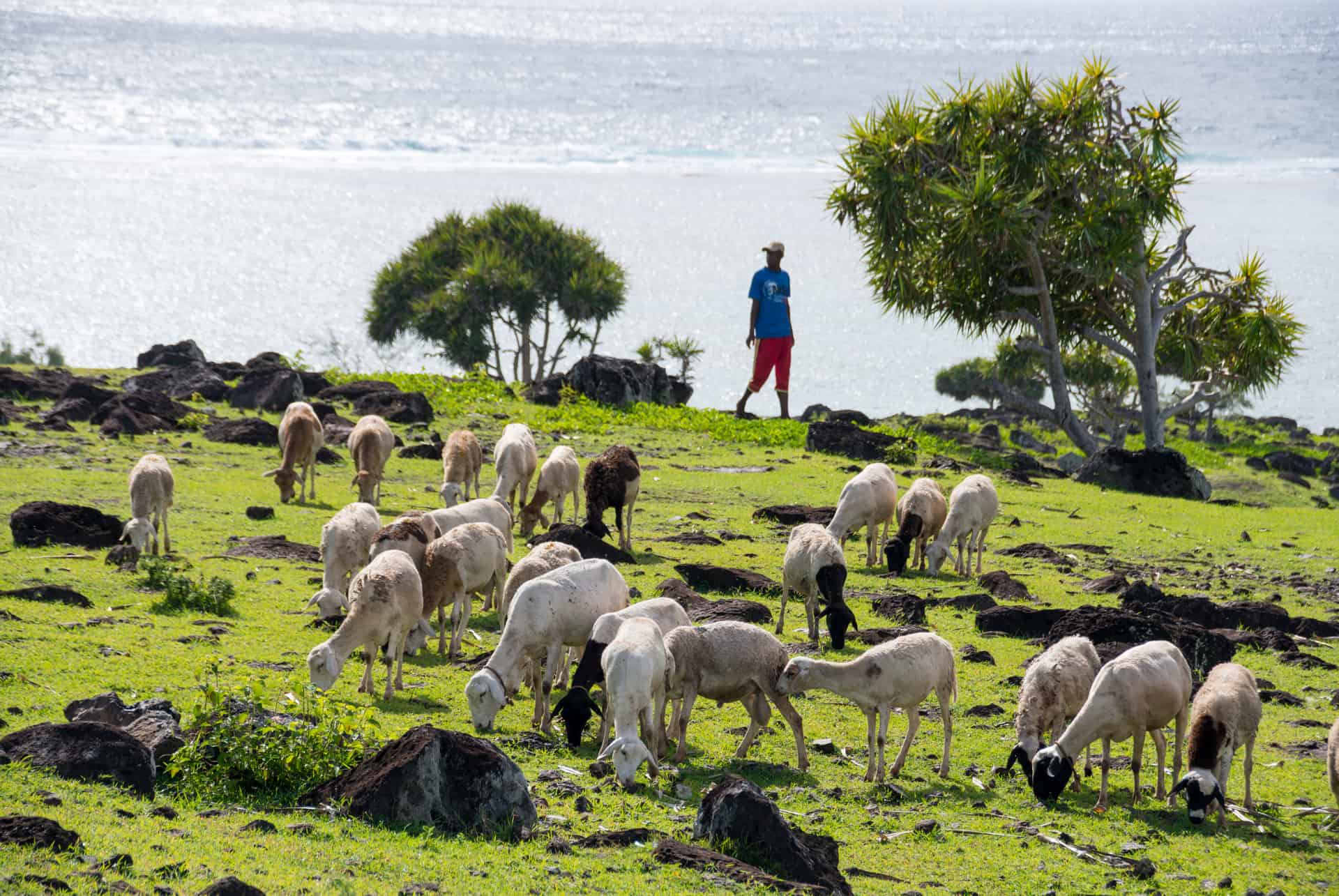 aller a rodrigues depuis la france aller a rodrigues depuis la france