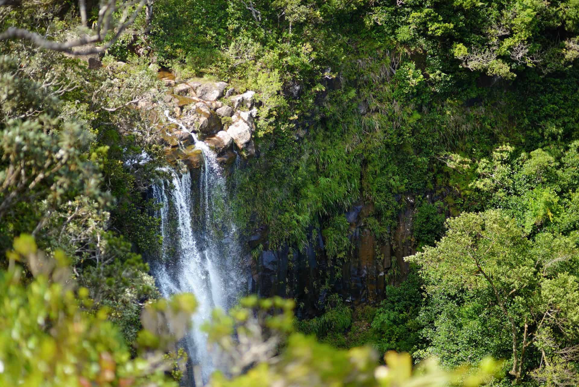 chutes alexandra ile maurice chutes alexandra ile maurice