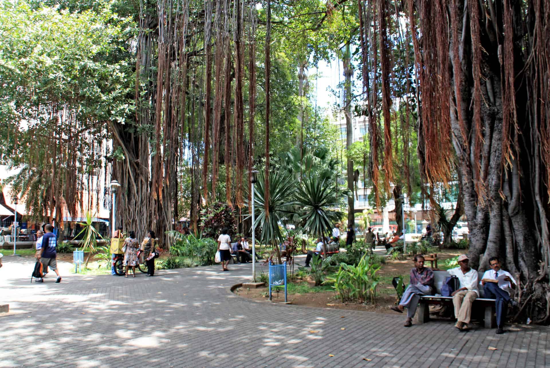 jardin de la compagnie que faire port louis jardin de la compagnie que faire port louis