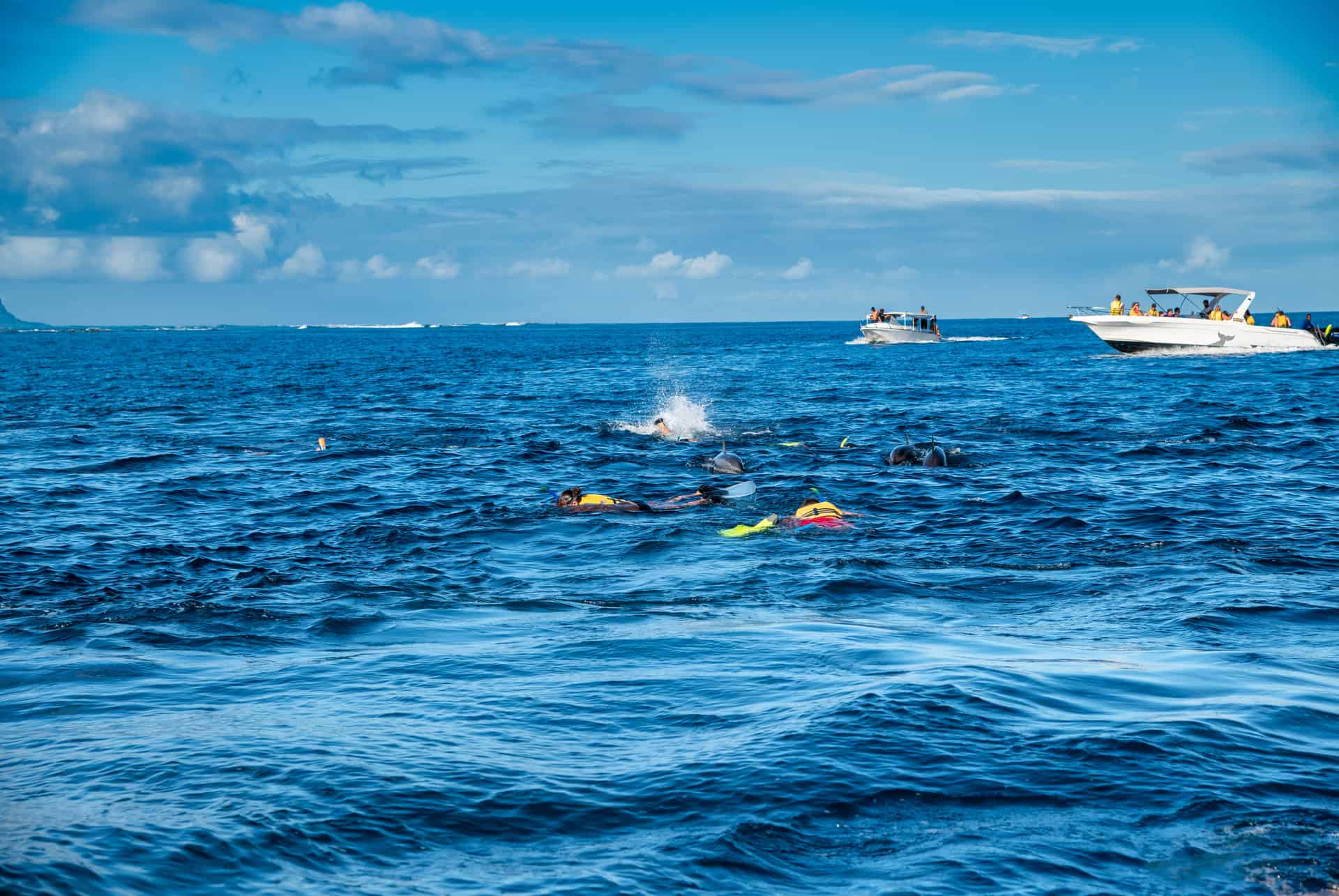 nager avec dauphins à l'île maurice nager avec dauphins à l'île maurice