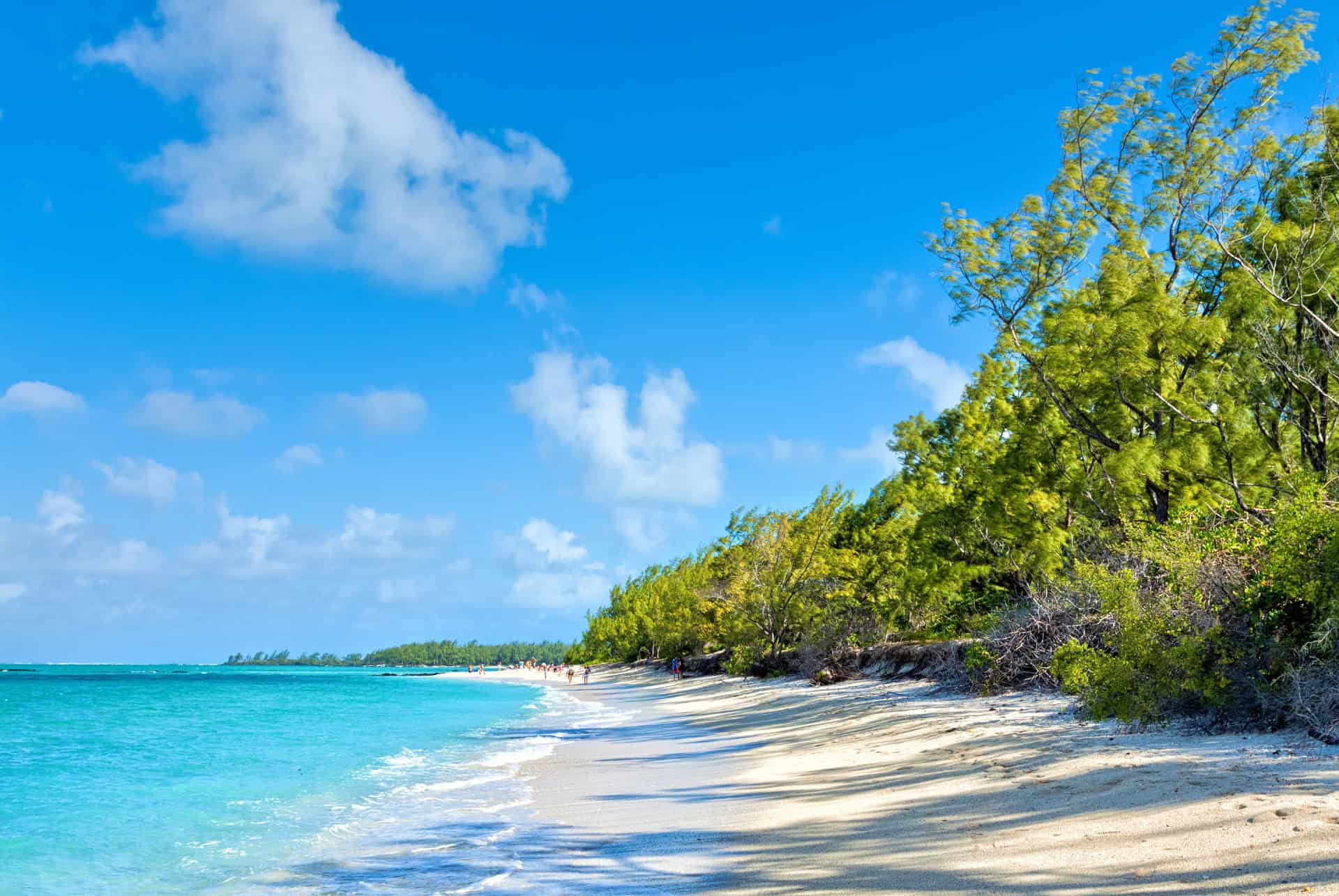 plage ile aux cerfs maurice en novembre