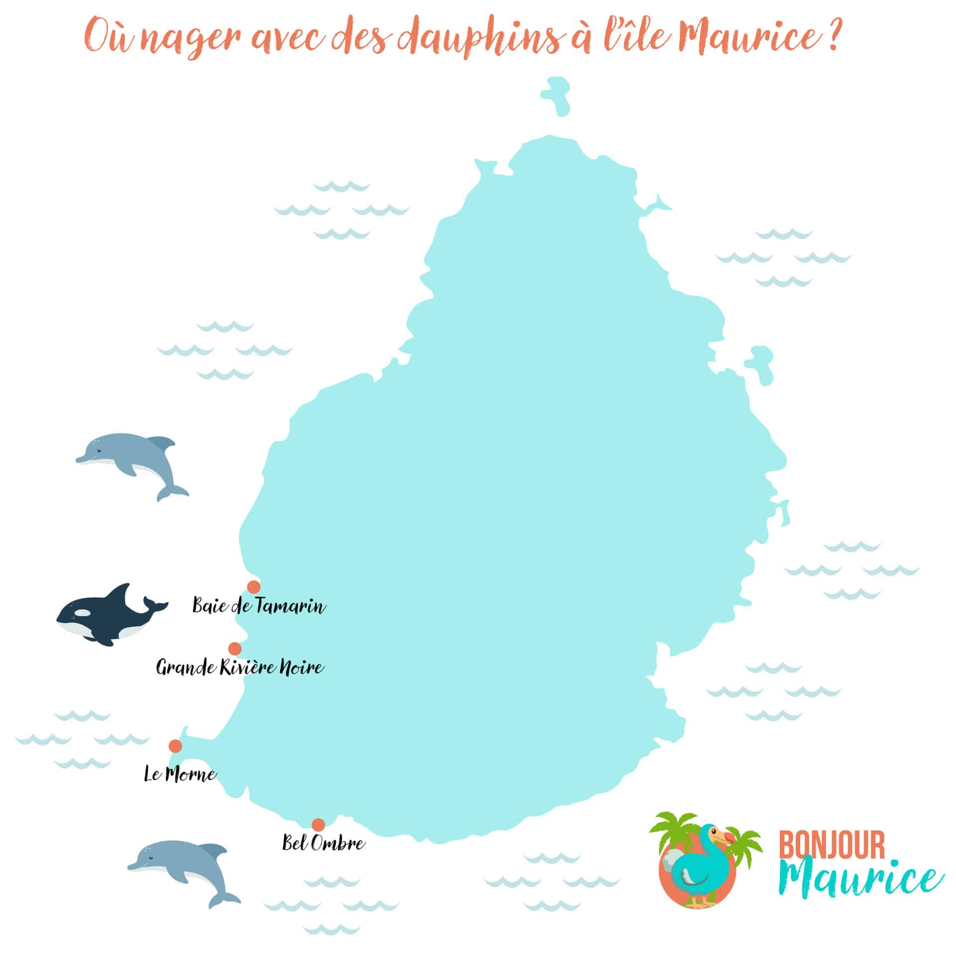 map dauphins ile maurice map dauphins ile maurice