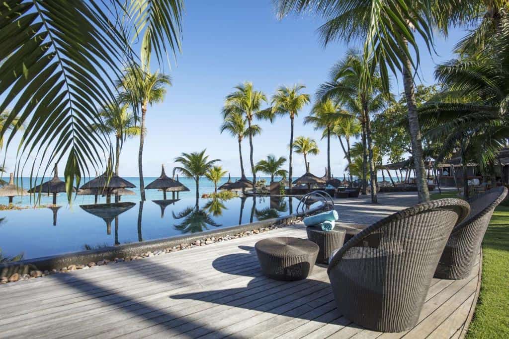 royal palm piscine