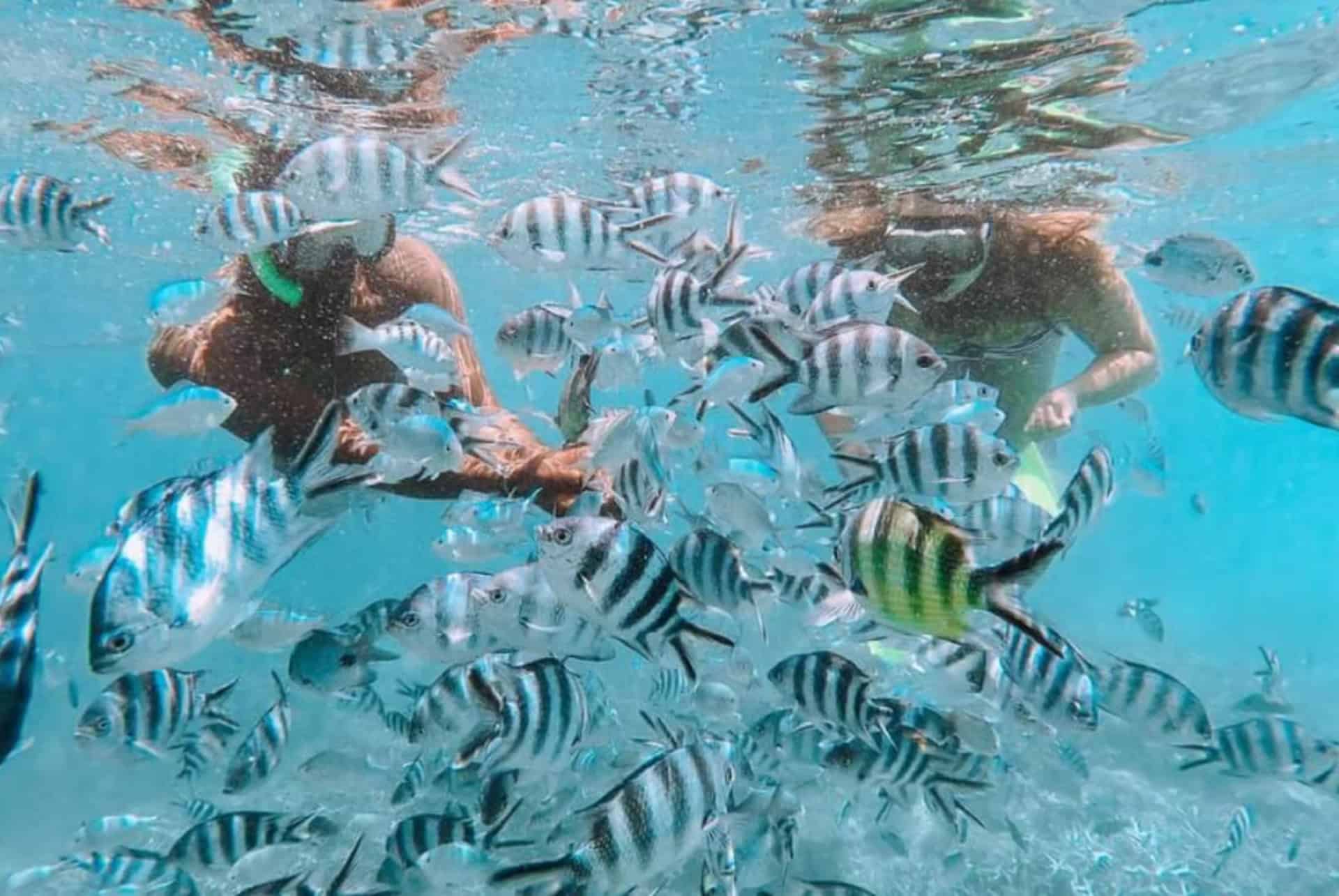 blue bay excursion