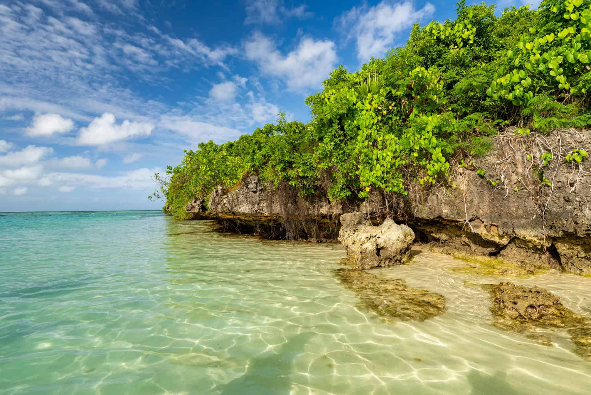 ile aux aigrettes ile aux aigrettes