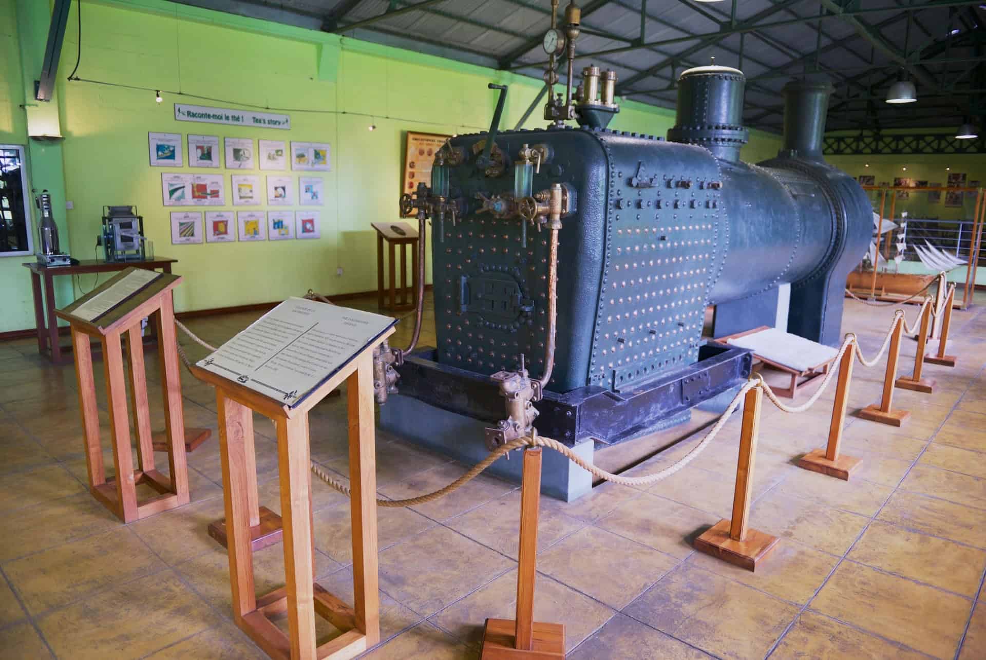 musee the musee the