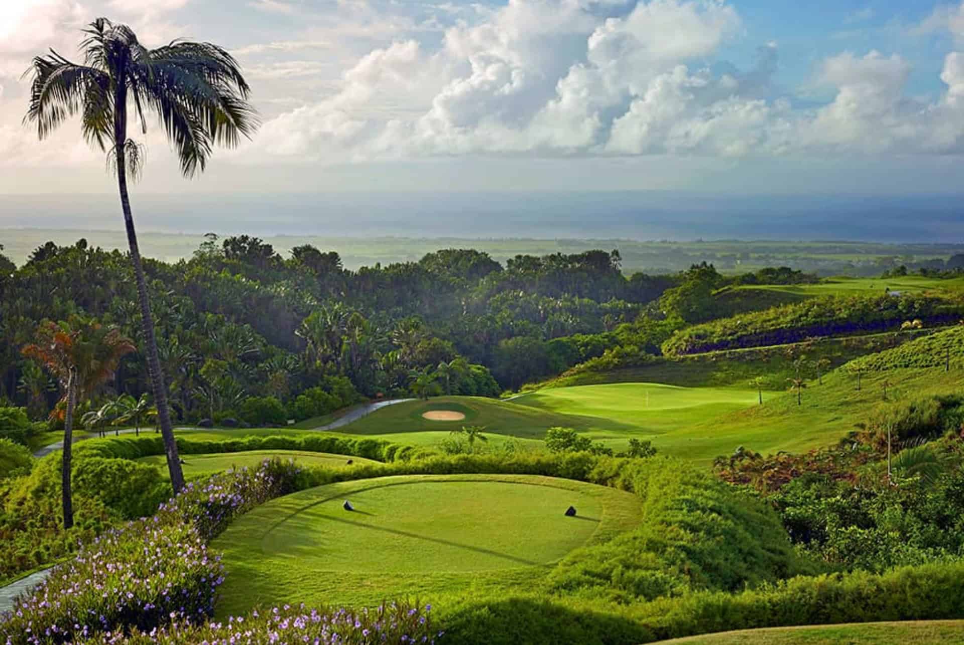 avalon golf estate